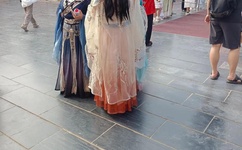 聚生网管绿色破解版